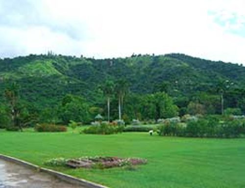 Hope Botanical Gardens in Kingston, Jamaica