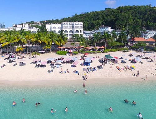Things To Do in Montego Bay
