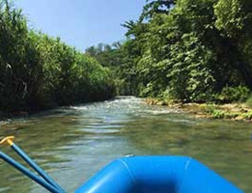 Rio Bueno Jamaica (Rafting or Tubing)